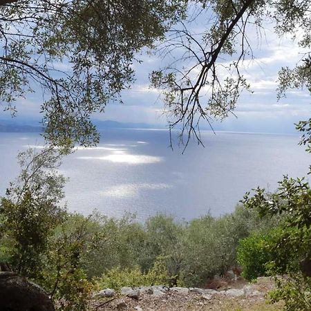 Rizes Sea View Villa Nisaki  Exteriör bild