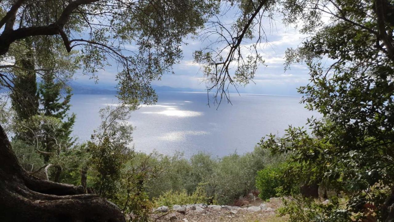 Rizes Sea View Villa Nisaki  Exteriör bild